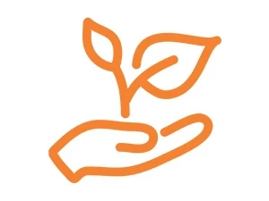Eco-friendly icon orange